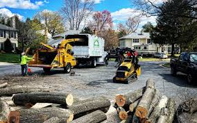  Katy, TX Tree Removal and Landscaping Services Pros